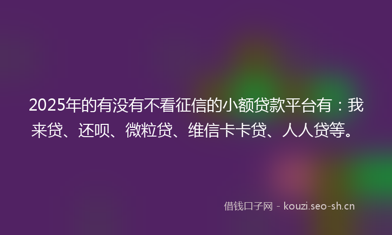 2025年的有没有不看征信的小额贷款平台有：我来贷、还呗、微粒贷、维信卡卡贷、人人贷等。