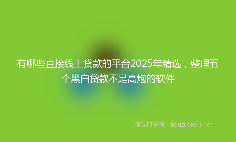 有哪些直接线上贷款的平台2025年精选，整理五个黑白贷款不是高炮的软件