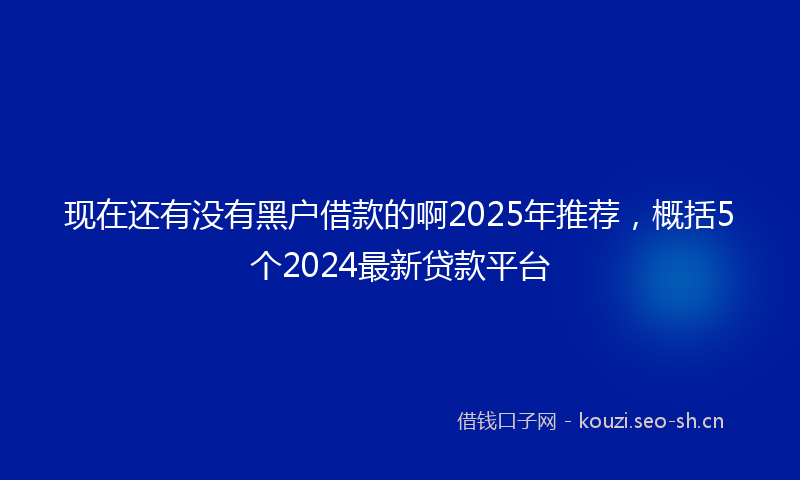 现在还有没有黑户借款的啊2025年推荐，概括5个2024最新贷款平台