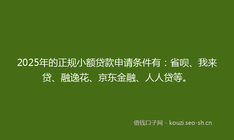 2025年的正规小额贷款申请条件有：省呗、我来贷、融逸花、京东金融、人人贷等。
