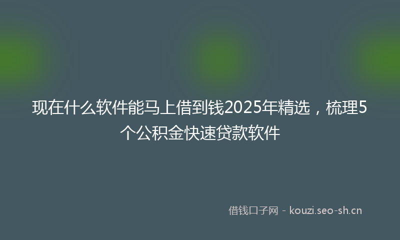 现在什么软件能马上借到钱2025年精选，梳理5个公积金快速贷款软件