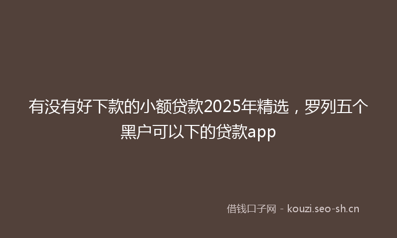 有没有好下款的小额贷款2025年精选，罗列五个黑户可以下的贷款app