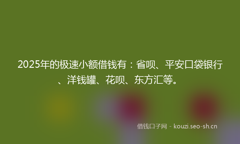 2025年的极速小额借钱有：省呗、平安口袋银行、洋钱罐、花呗、东方汇等。