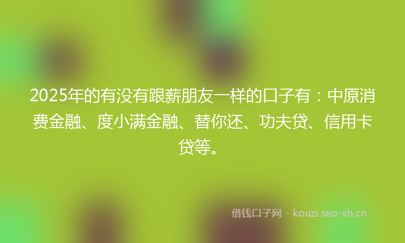 2025年的有没有跟薪朋友一样的口子有：中原消费金融、度小满金融、替你还、功夫贷、信用卡贷等。