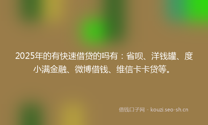 2025年的有快速借贷的吗有：省呗、洋钱罐、度小满金融、微博借钱、维信卡卡贷等。