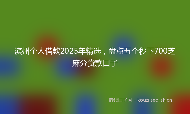 滨州个人借款2025年精选，盘点五个秒下700芝麻分贷款口子