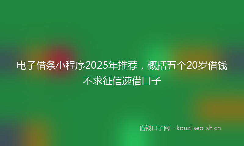 电子借条小程序2025年推荐，概括五个20岁借钱不求征信速借口子