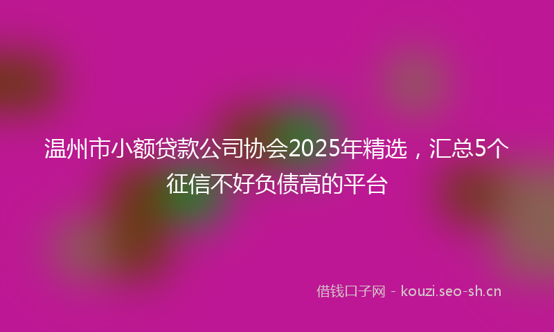 温州市小额贷款公司协会2025年精选，汇总5个征信不好负债高的平台