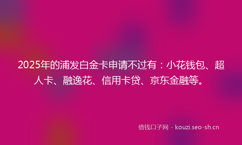 2025年的浦发白金卡申请不过有：小花钱包、超人卡、融逸花、信用卡贷、京东金融等。