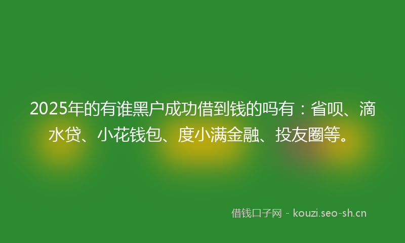 2025年的有谁黑户成功借到钱的吗有：省呗、滴水贷、小花钱包、度小满金融、投友圈等。