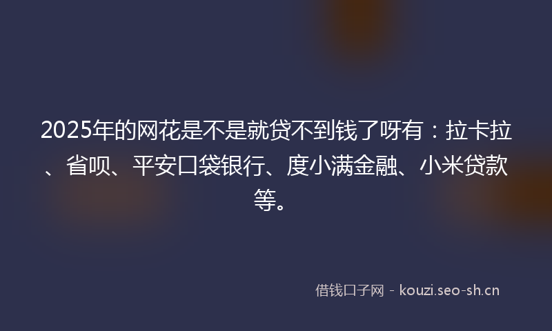 2025年的网花是不是就贷不到钱了呀有：拉卡拉、省呗、平安口袋银行、度小满金融、小米贷款等。