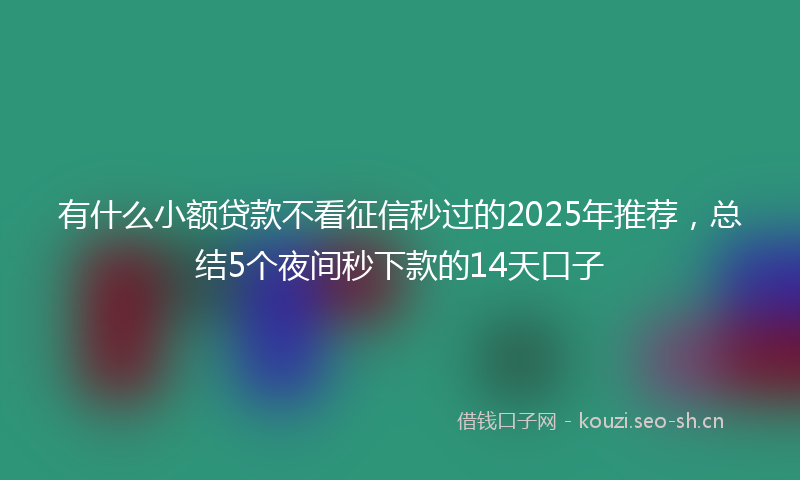 有什么小额贷款不看征信秒过的2025年推荐，总结5个夜间秒下款的14天口子
