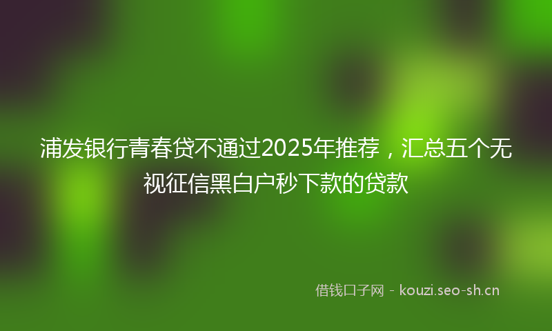 浦发银行青春贷不通过2025年推荐，汇总五个无视征信黑白户秒下款的贷款