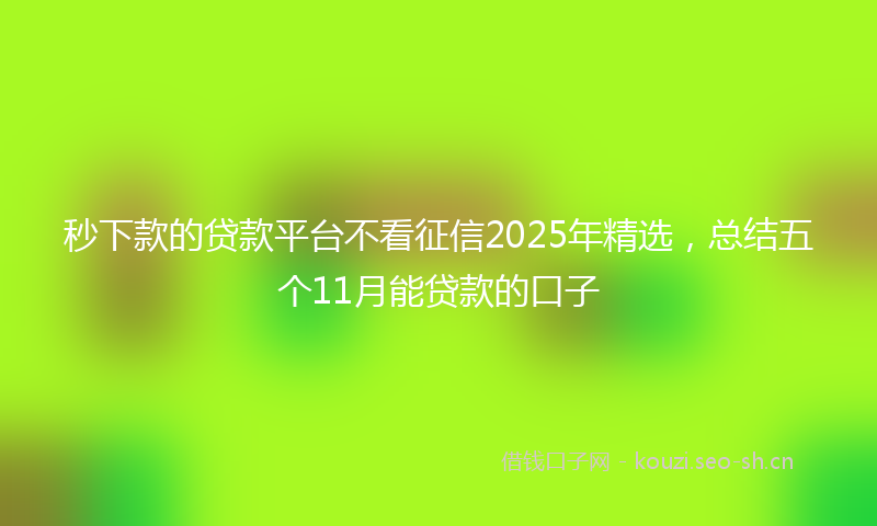秒下款的贷款平台不看征信2025年精选，总结五个11月能贷款的口子