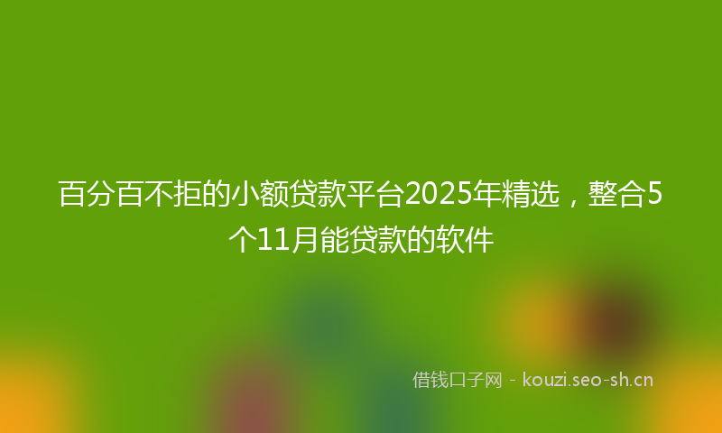 百分百不拒的小额贷款平台2025年精选，整合5个11月能贷款的软件