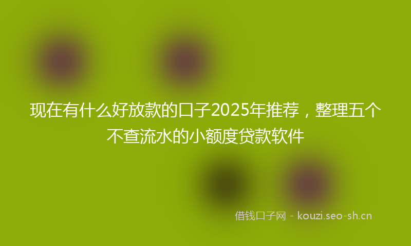 现在有什么好放款的口子2025年推荐，整理五个不查流水的小额度贷款软件