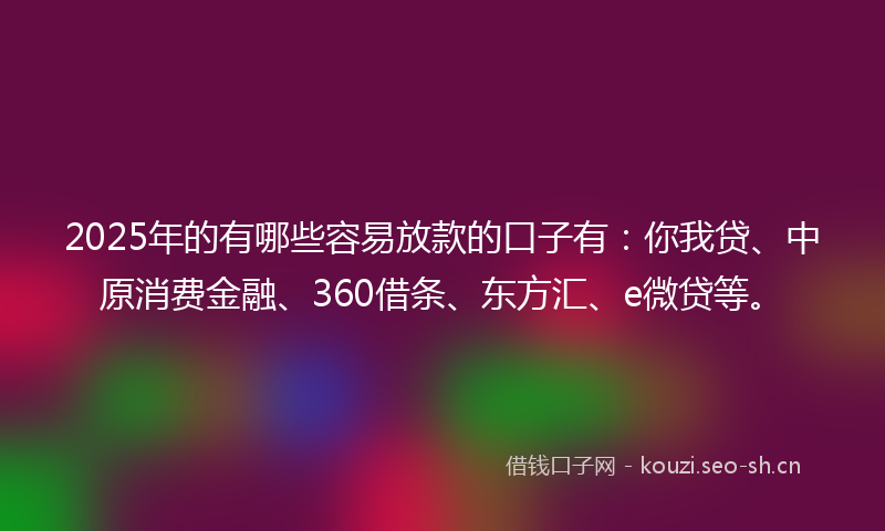 2025年的有哪些容易放款的口子有：你我贷、中原消费金融、360借条、东方汇、e微贷等。