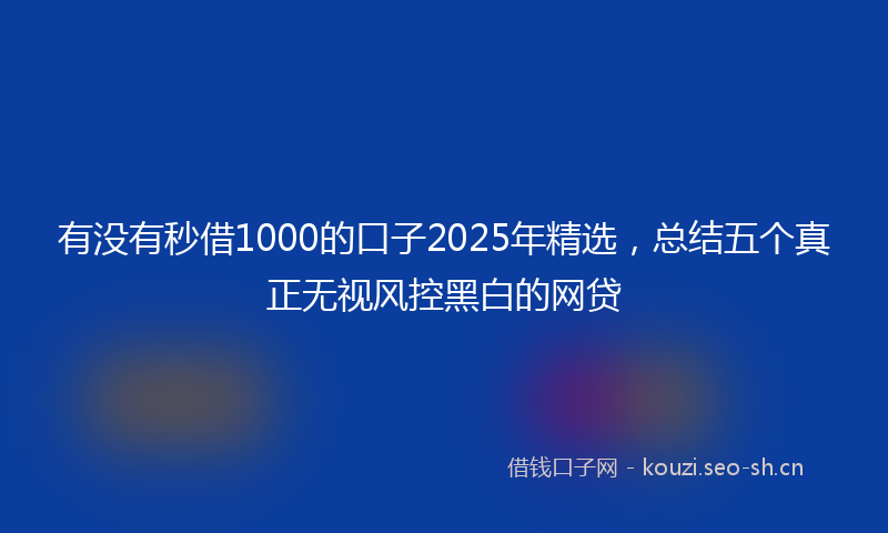 有没有秒借1000的口子2025年精选，总结五个真正无视风控黑白的网贷