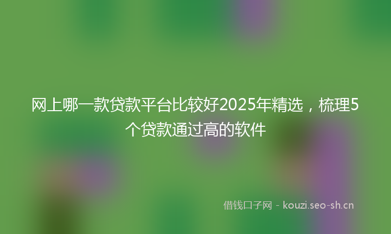 网上哪一款贷款平台比较好2025年精选，梳理5个贷款通过高的软件