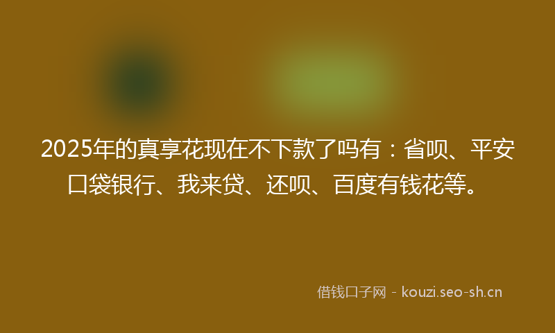 2025年的真享花现在不下款了吗有：省呗、平安口袋银行、我来贷、还呗、百度有钱花等。