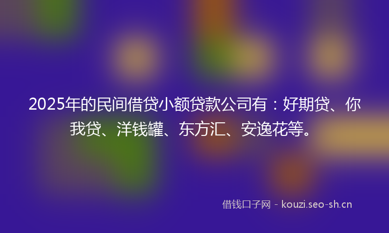 2025年的民间借贷小额贷款公司有：好期贷、你我贷、洋钱罐、东方汇、安逸花等。