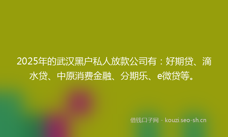 2025年的武汉黑户私人放款公司有：好期贷、滴水贷、中原消费金融、分期乐、e微贷等。