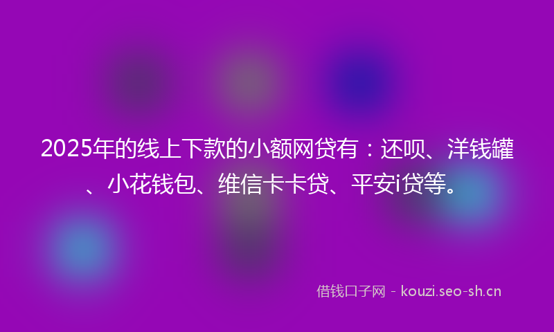 2025年的线上下款的小额网贷有：还呗、洋钱罐、小花钱包、维信卡卡贷、平安i贷等。