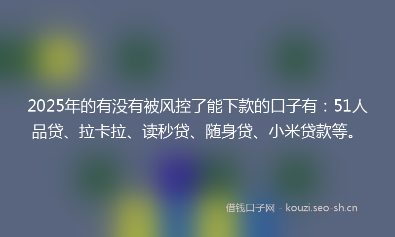 2025年的有没有被风控了能下款的口子有：51人品贷、拉卡拉、读秒贷、随身贷、小米贷款等。