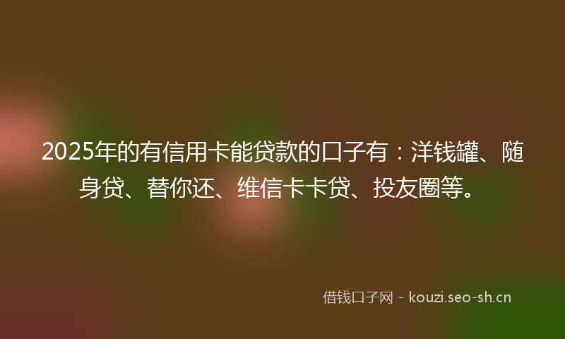 2025年的有信用卡能贷款的口子有:洋钱罐、随身贷、替你还、维信卡卡贷、投友圈等。