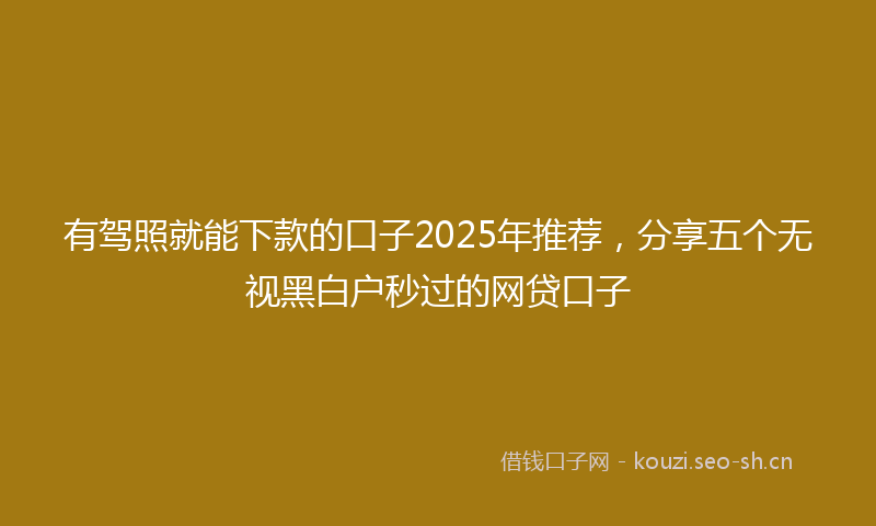 有驾照就能下款的口子2025年推荐，分享五个无视黑白户秒过的网贷口子