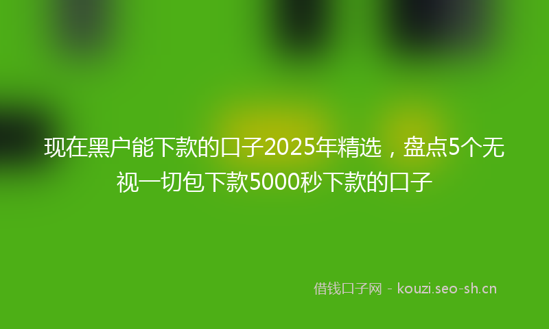 现在黑户能下款的口子2025年精选，盘点5个无视一切包下款5000秒下款的口子