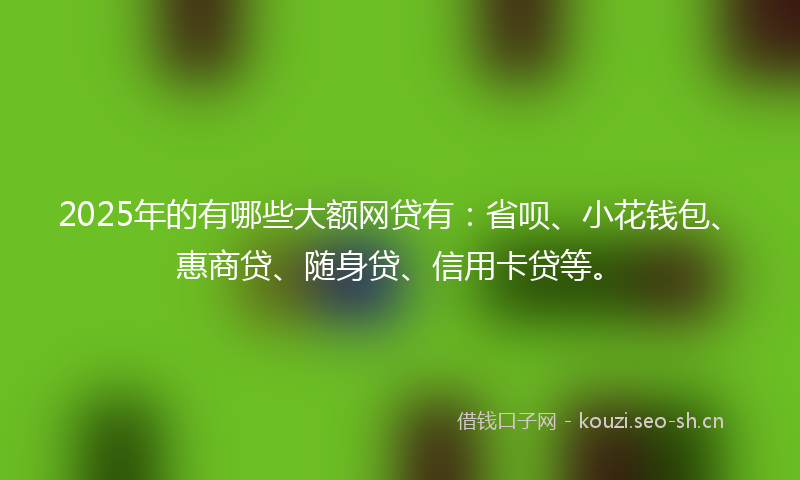 2025年的有哪些大额网贷有：省呗、小花钱包、惠商贷、随身贷、信用卡贷等。