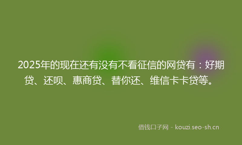 2025年的现在还有没有不看征信的网贷有：好期贷、还呗、惠商贷、替你还、维信卡卡贷等。