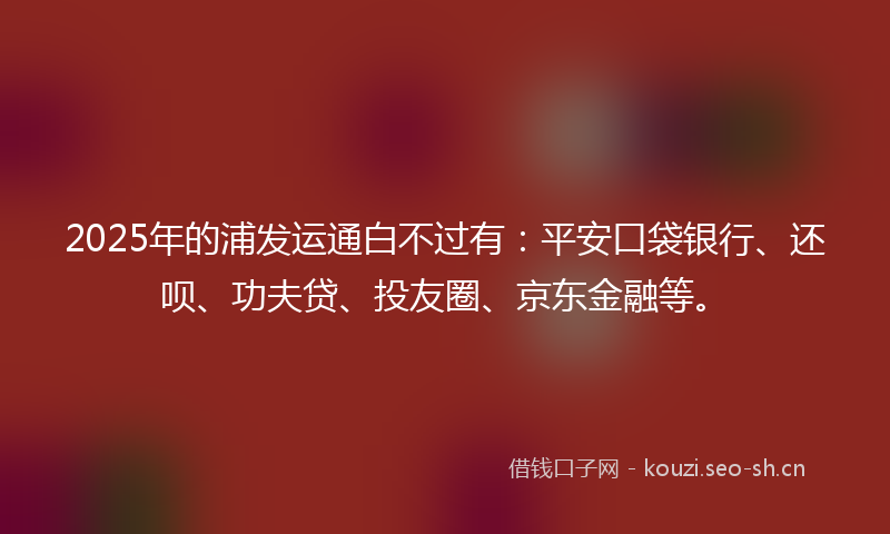 2025年的浦发运通白不过有：平安口袋银行、还呗、功夫贷、投友圈、京东金融等。