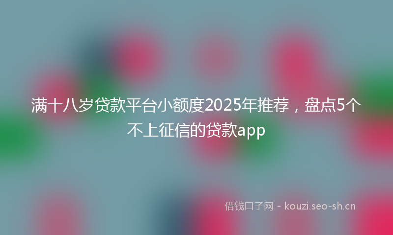 满十八岁贷款平台小额度2025年推荐，盘点5个不上征信的贷款app