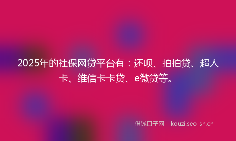 2025年的社保网贷平台有：还呗、拍拍贷、超人卡、维信卡卡贷、e微贷等。