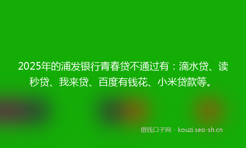 2025年的浦发银行青春贷不通过有：滴水贷、读秒贷、我来贷、百度有钱花、小米贷款等。