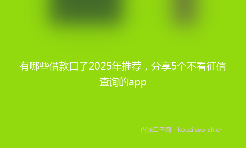 有哪些借款口子2025年推荐，分享5个不看征信查询的app