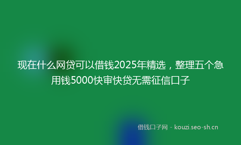 现在什么网贷可以借钱2025年精选，整理五个急用钱5000快审快贷无需征信口子