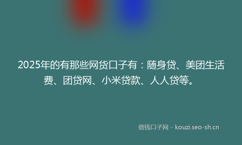 2025年的有那些网货口子有：随身贷、美团生活费、团贷网、小米贷款、人人贷等。