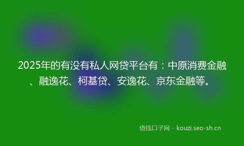 2025年的有没有私人网贷平台有：中原消费金融、融逸花、柯基贷、安逸花、京东金融等。