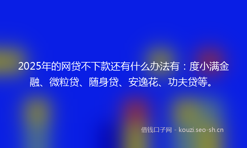 2025年的网贷不下款还有什么办法有：度小满金融、微粒贷、随身贷、安逸花、功夫贷等。