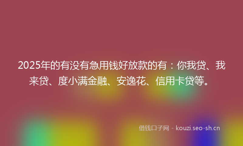2025年的有没有急用钱好放款的有：你我贷、我来贷、度小满金融、安逸花、信用卡贷等。