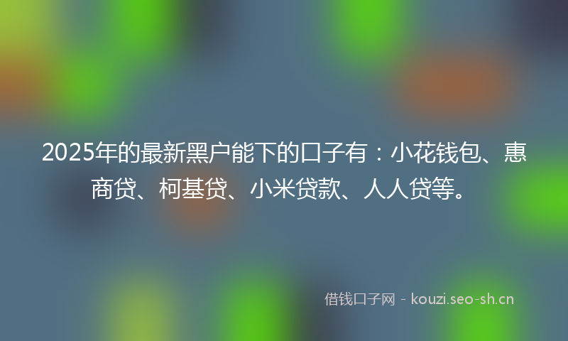 2025年的最新黑户能下的口子有：小花钱包、惠商贷、柯基贷、小米贷款、人人贷等。