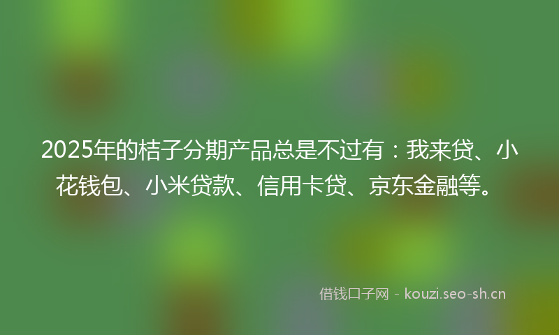 2025年的桔子分期产品总是不过有：我来贷、小花钱包、小米贷款、信用卡贷、京东金融等。