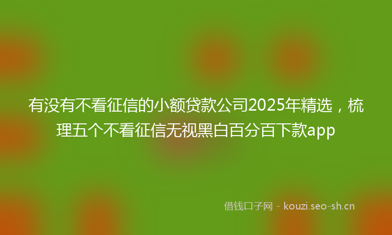 有没有不看征信的小额贷款公司2025年精选，梳理五个不看征信无视黑白百分百下款app