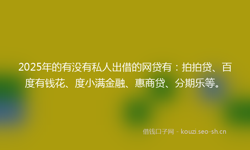 2025年的有没有私人出借的网贷有：拍拍贷、百度有钱花、度小满金融、惠商贷、分期乐等。
