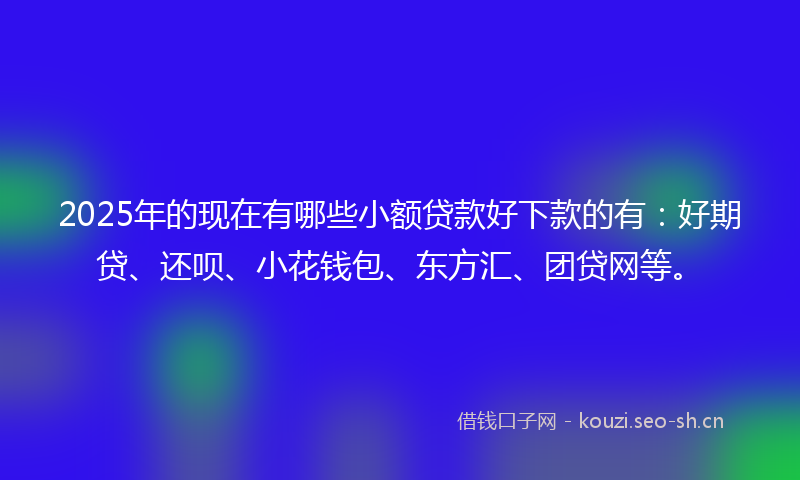 2025年的现在有哪些小额贷款好下款的有：好期贷、还呗、小花钱包、东方汇、团贷网等。