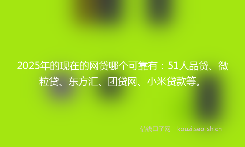 2025年的现在的网贷哪个可靠有：51人品贷、微粒贷、东方汇、团贷网、小米贷款等。