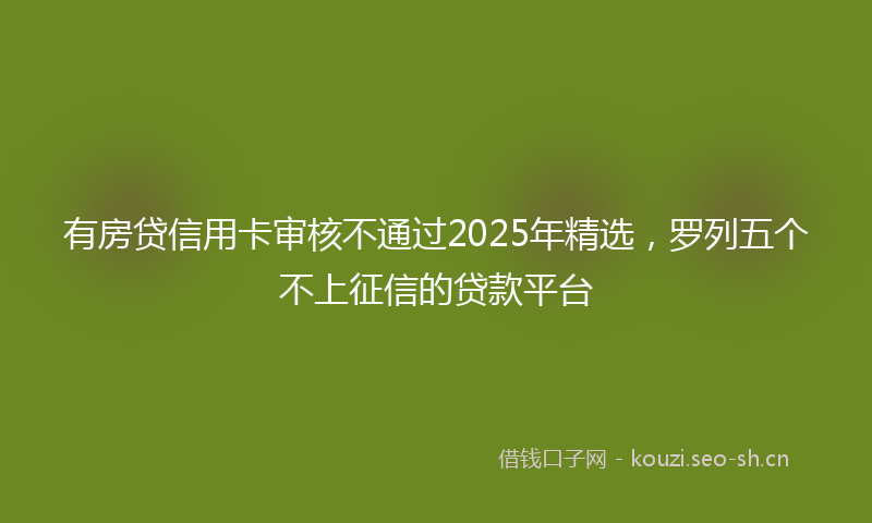 有房贷信用卡审核不通过2025年精选，罗列五个不上征信的贷款平台